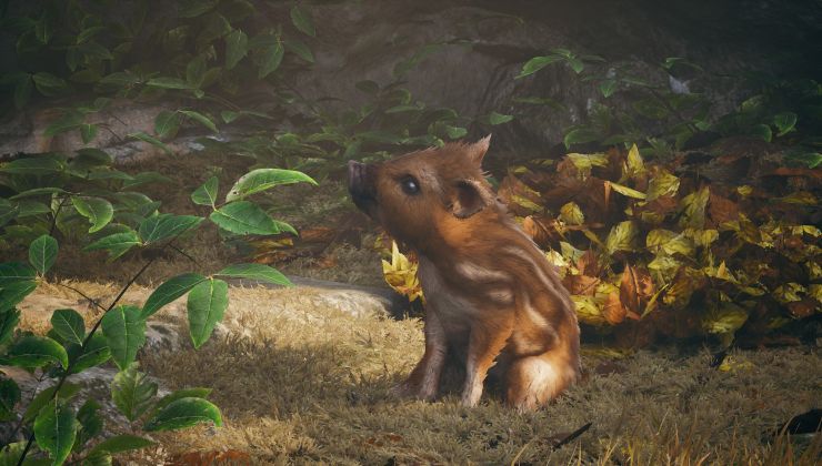 Thumbnail for article ID 27773